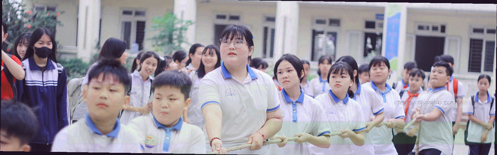 三块并置的抽象封面，分别使用藏青、松石绿与赭石红，对应三个专题系列